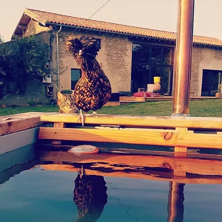 Apartamento En Materiaux Naturels Sauna, Couchers De Soleil Et Chevaux Vausseroux
